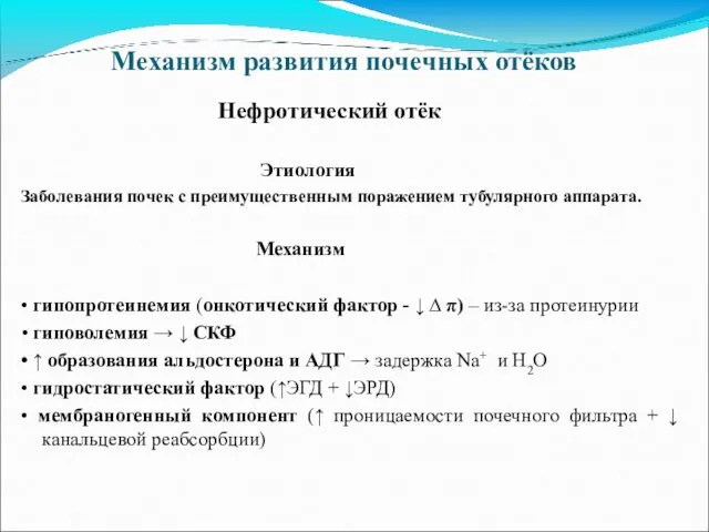 Механизм развития почечных отёков Нефротический отёк Этиология Заболевания почек с