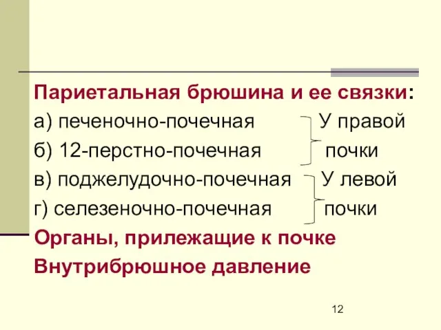 Париетальная брюшина и ее связки: а) печеночно-почечная У правой б)