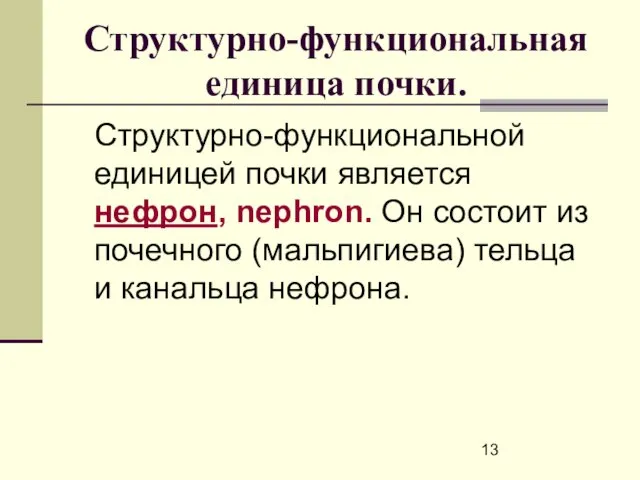 Структурно-функциональная единица почки. Структурно-функциональной единицей почки является нефрон, nephron. Он