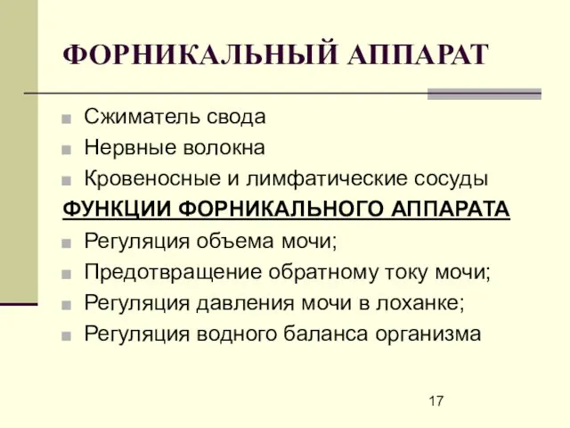 ФОРНИКАЛЬНЫЙ АППАРАТ Сжиматель свода Нервные волокна Кровеносные и лимфатические сосуды