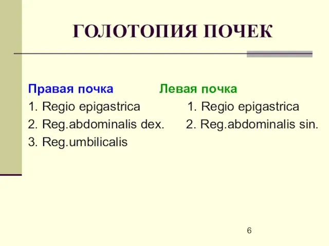 ГОЛОТОПИЯ ПОЧЕК Правая почка Левая почка 1. Regio epigastrica 1.