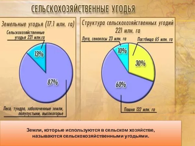 Земли, которые используются в сельском хозяйстве, называются сельскохозяйственными угодьями.