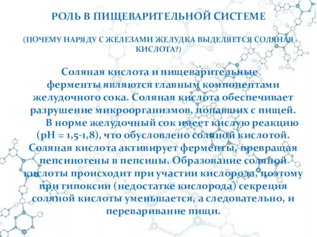 РОЛЬ В ПИЩЕВАРИТЕЛЬНОЙ СИСТЕМЕ (ПОЧЕМУ НАРЯДУ С ЖЕЛЕЗАМИ ЖЕЛУДКА ВЫДЕЛЯЕТСЯ