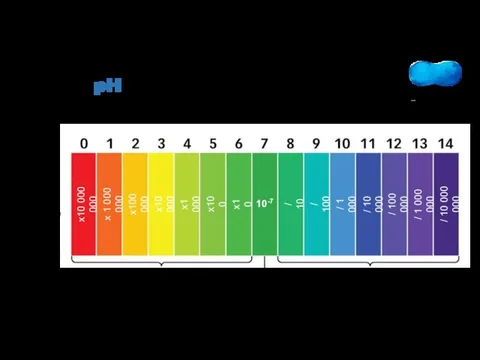 Шкала pH Нейтральная среда Кислотная среда Щелочная среда pH 10-7