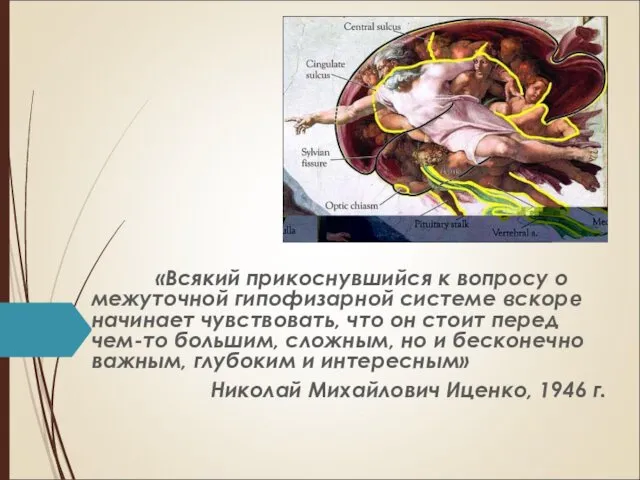 «Всякий прикоснувшийся к вопросу о межуточной гипофизарной системе вскоре начинает