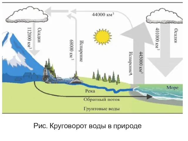 Рис. Круговорот воды в природе