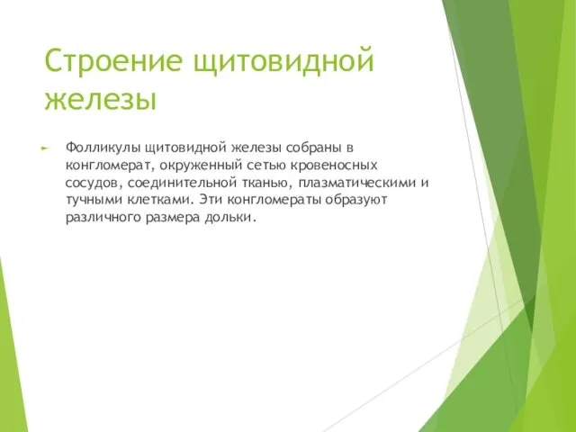 Строение щитовидной железы Фолликулы щитовидной железы собраны в конгломерат, окруженный сетью кровеносных сосудов,