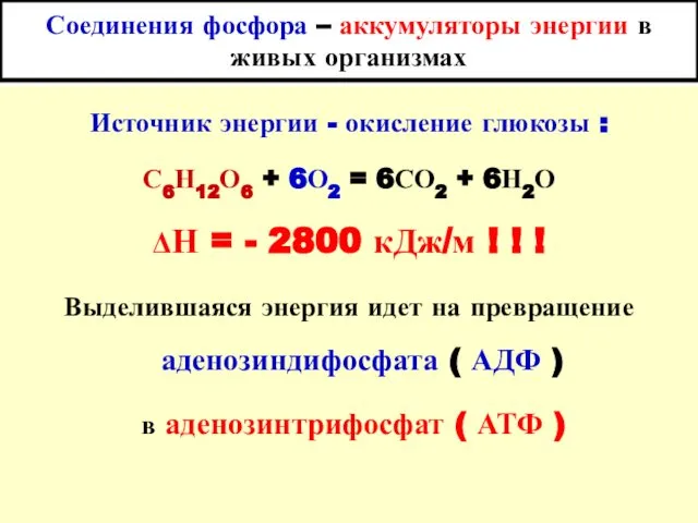 Соединения фосфора – аккумуляторы энергии в живых организмах Источник энергии