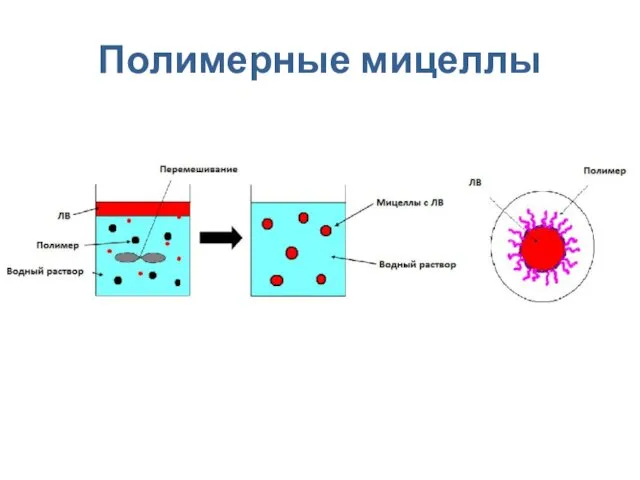 Полимерные мицеллы