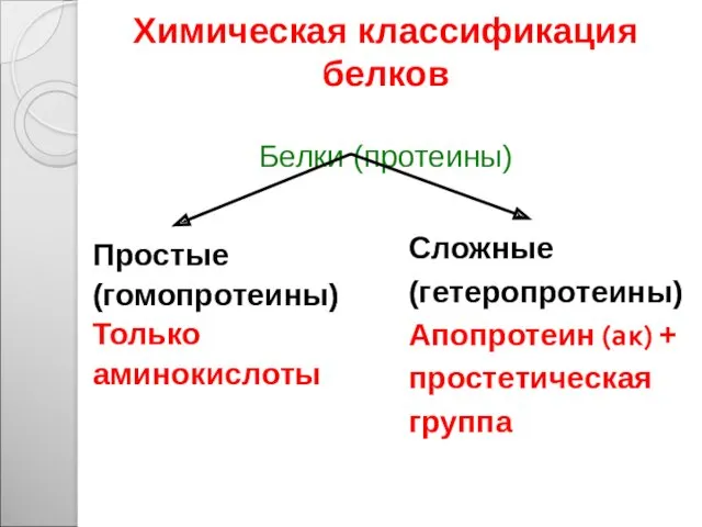 Химическая классификация белков п Белки (протеины) Простые (гомопротеины) Только аминокислоты