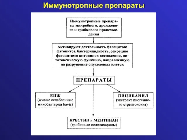 Иммунотропные препараты