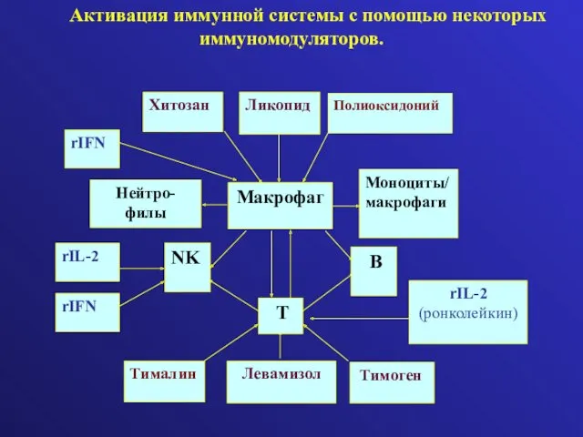 Активация иммунной системы с помощью некоторых иммуномодуляторов.