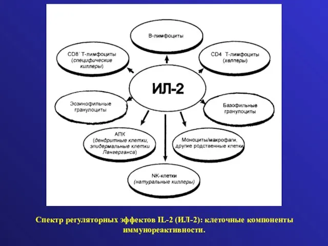 Спектр регуляторных эффектов IL-2 (ИЛ-2): клеточные компоненты иммунореактивности.