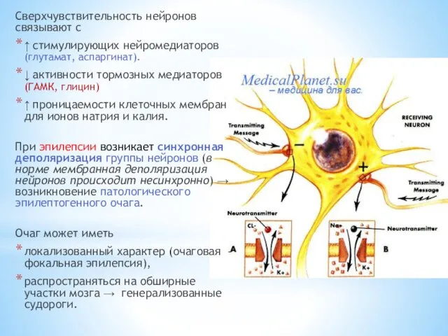 Сверхчувствительность нейронов связывают с ↑ стимулирующих нейромедиаторов (глутамат, аспаргинат). ↓