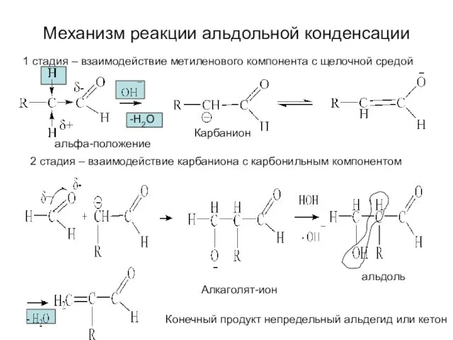 Механизм реакции альдольной конденсации 1 стадия – взаимодействие метиленового компонента