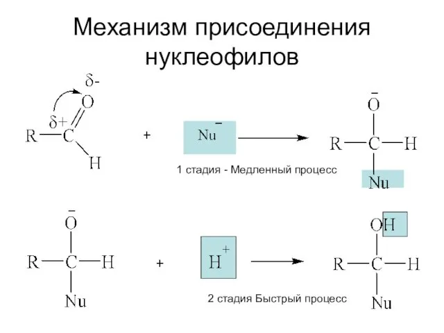 Механизм присоединения нуклеофилов 1 стадия - Медленный процесс 2 стадия Быстрый процесс