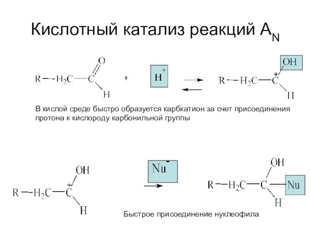 Кислотный катализ реакций AN В кислой среде быстро образуется карбкатион