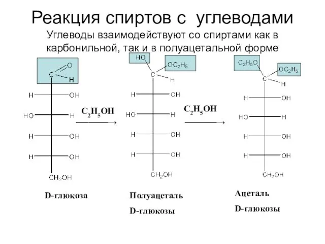 Реакция спиртов с углеводами Углеводы взаимодействуют со спиртами как в