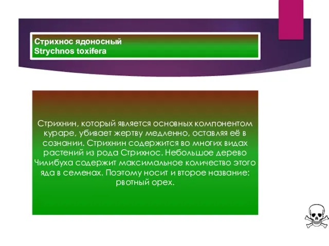 Стрихнос ядоносный Strychnos toxifera Стрихнин, который является основных компонентом кураре,