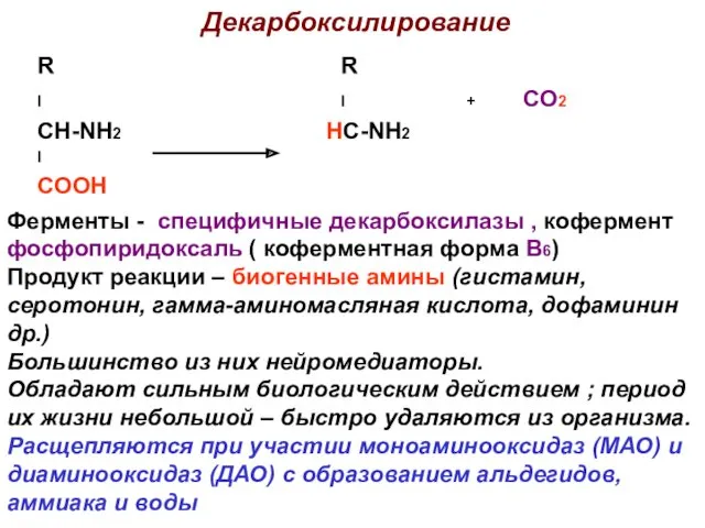 Декарбоксилирование R R I I + CO2 CH-NH2 HC-NH2 I