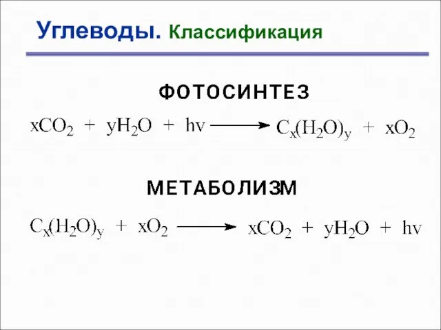 Углеводы. Классификация