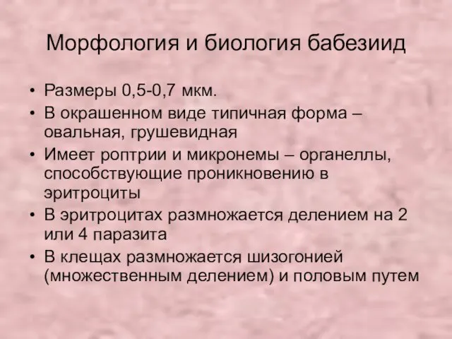 Морфология и биология бабезиид Размеры 0,5-0,7 мкм. В окрашенном виде