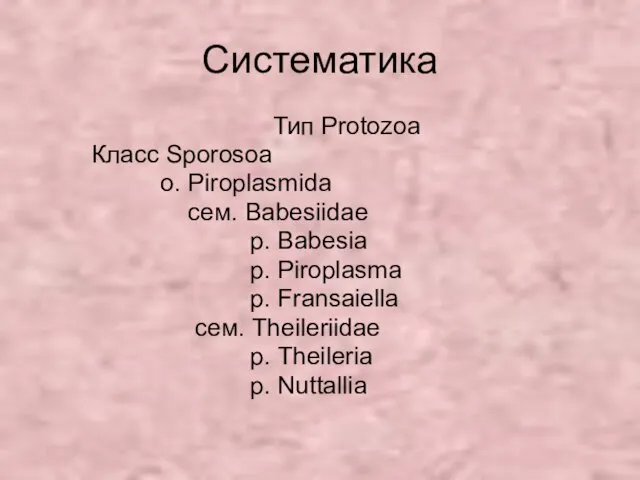 Систематика Тип Protozoa Класс Sporosoa о. Piroplasmida сем. Babesiidae р.