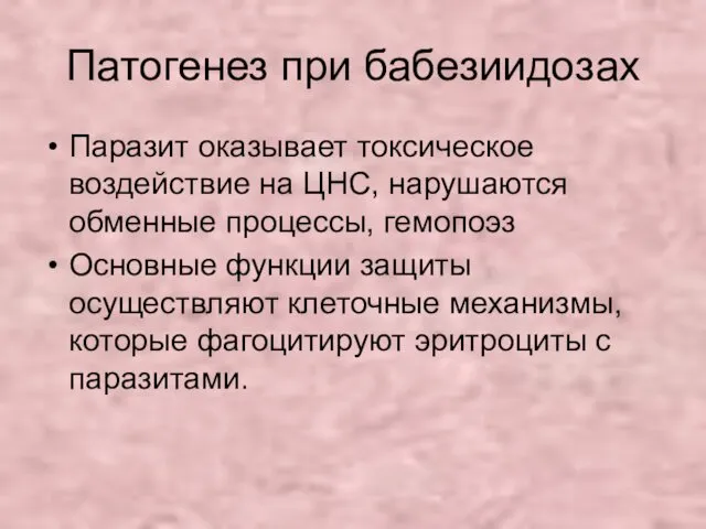 Патогенез при бабезиидозах Паразит оказывает токсическое воздействие на ЦНС, нарушаются