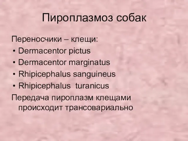 Пироплазмоз собак Переносчики – клещи: Dermacentor pictus Dermacentor marginatus Rhipicephalus