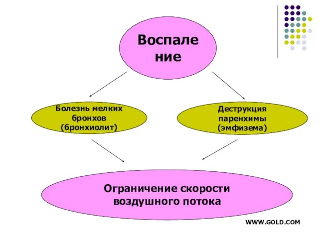 Болезнь мелких бронхов (бронхиолит) Воспаление Деструкция паренхимы (эмфизема) Ограничение скорости воздушного потока WWW.GOLD.COM