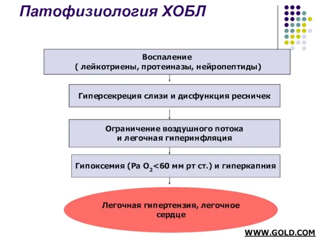 Патофизиология ХОБЛ Воспаление ( лейкотриены, протеиназы, нейропептиды) Гиперсекреция слизи и