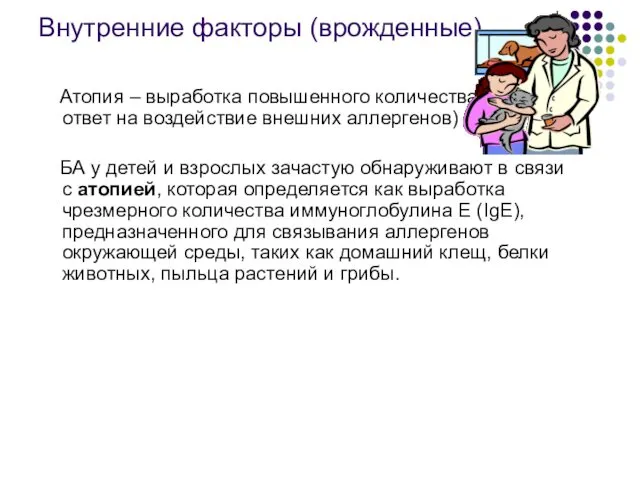 Внутренние факторы (врожденные) Атопия – выработка повышенного количества IgE в