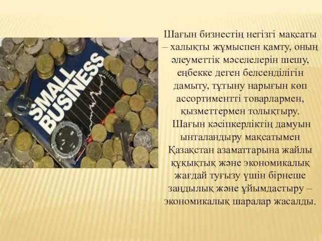 Шағын бизнестің негізгі мақсаты – халықты жұмыспен қамту, оның әлеуметтік мәселелерін шешу, еңбекке