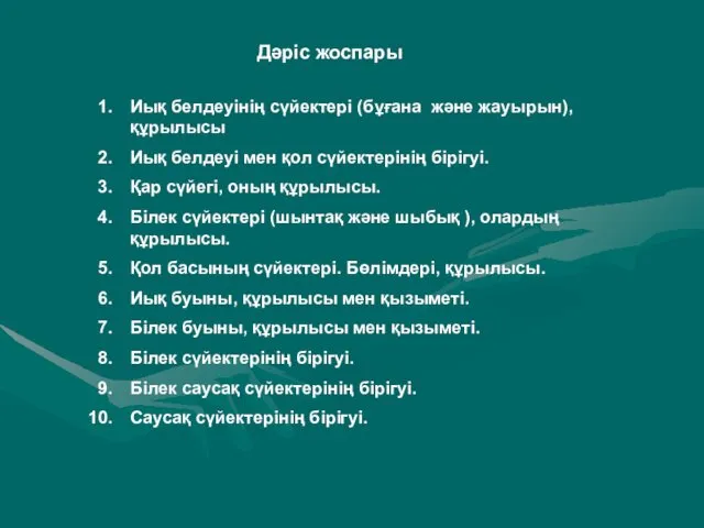 Дәріс жоспары Иық белдеуінің сүйектері (бұғана және жауырын), құрылысы Иық