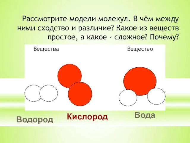 Рассмотрите модели молекул. В чём между ними сходство и различие?