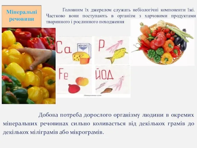 Мінеральні речовини Головним їх джерелом служать небіологічні компоненти їжі. Частково