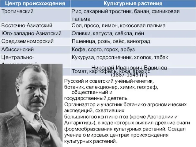 Николай Иванович Вавилов (1887-1943 гг.) Русский и советский учёный-генетик, ботаник,