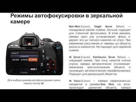 Режимы автофокусировки в зеркальной камере One-Shot (Canon), Single Servo (Nikon)