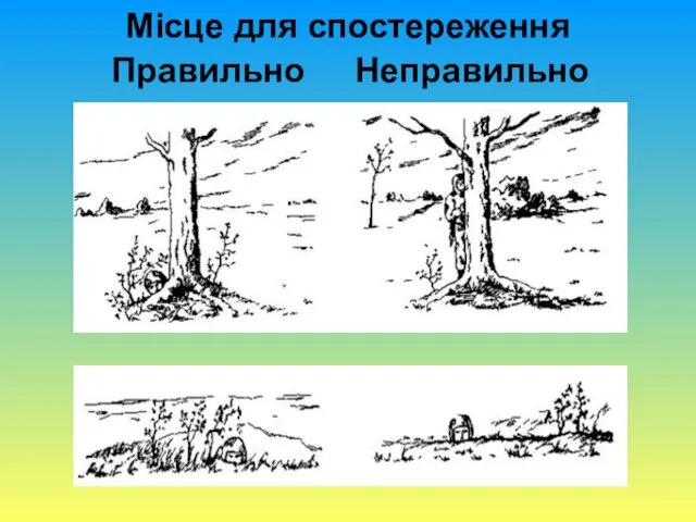 Місце для спостереження Правильно Неправильно