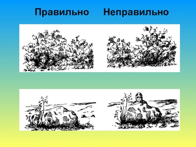 Правильно Неправильно