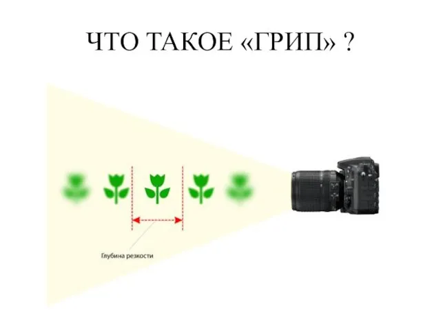 ЧТО ТАКОЕ «ГРИП» ?