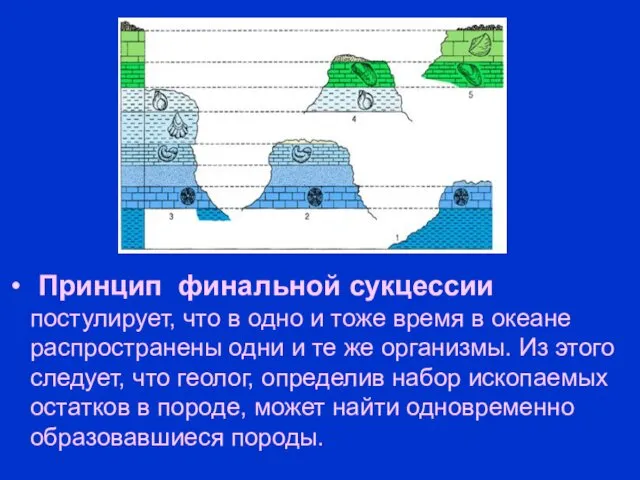 Принцип финальной сукцессии постулирует, что в одно и тоже время