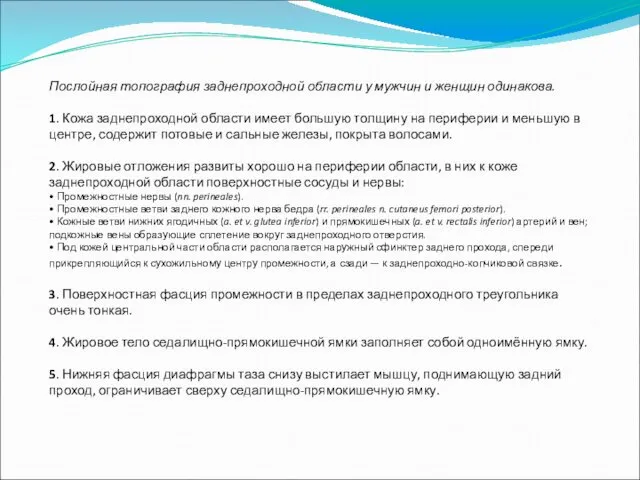 Послойная топография заднепроходной области у мужчин и женщин одинакова. 1.