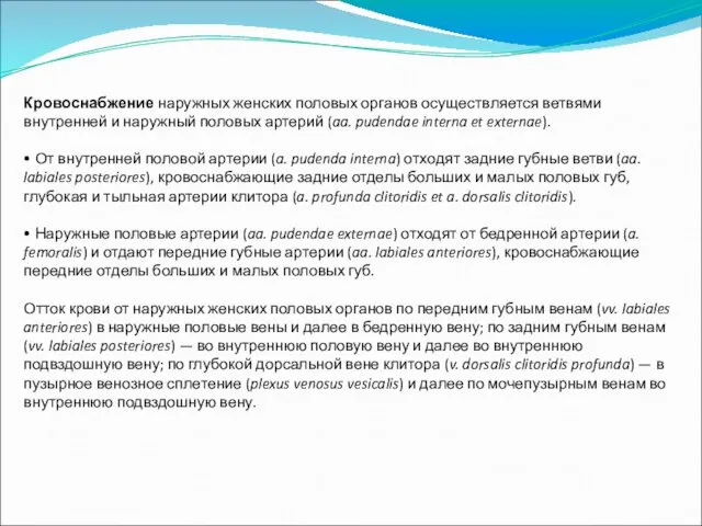 Кровоснабжение наружных женских половых органов осуществляется ветвями внутренней и наружный