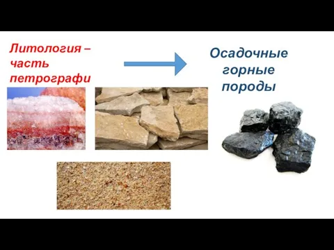 Литология – часть петрографии Осадочные горные породы