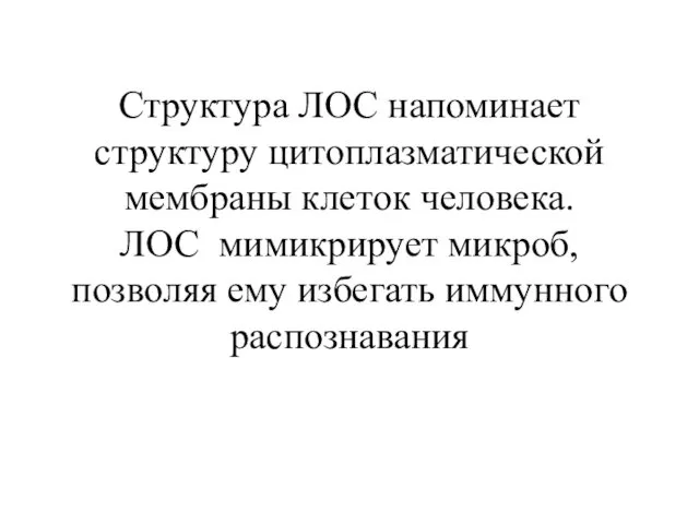 Структура ЛОС напоминает структуру цитоплазматической мембраны клеток человека. ЛОС мимикрирует микроб, позволяя ему избегать иммунного распознавания