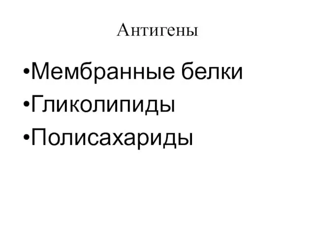 Антигены Мембранные белки Гликолипиды Полисахариды