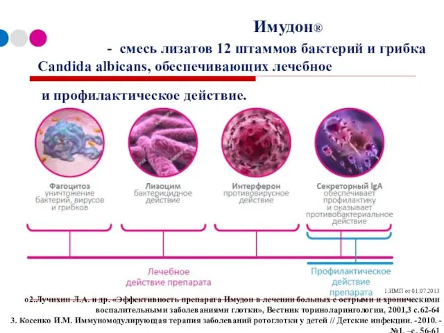 Имудон® - смесь лизатов 12 штаммов бактерий и грибка Candida