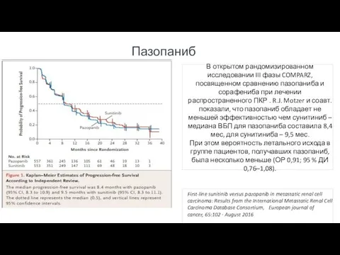 Пазопаниб В открытом рандомизированном исследовании III фазы COMPARZ, посвященном сравнению