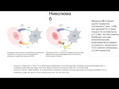 Медиана ОВ в общей группе пациентов составила 8,7 мес., а